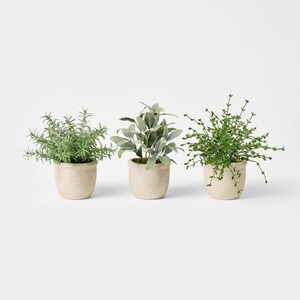 Set of 3 Mini Potted Herbs - Threshold Studio McGee, Target